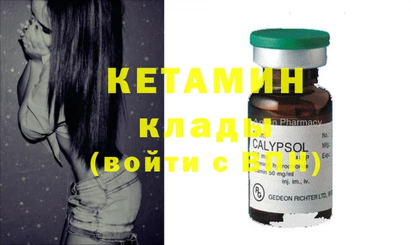 дмт Ельня
