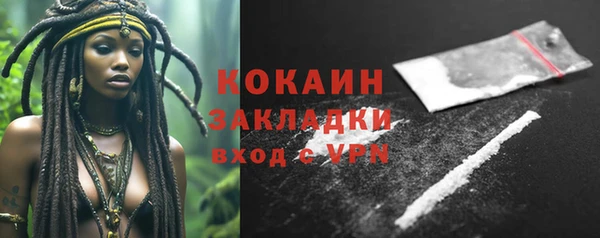 дмт Ельня