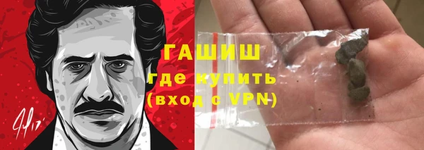 дмт Ельня