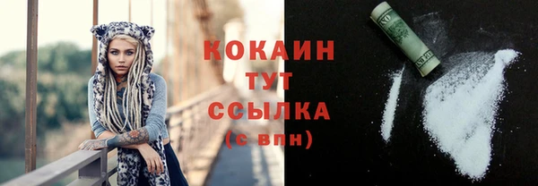дмт Ельня