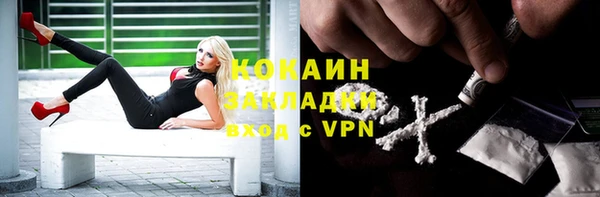 трава Елизово