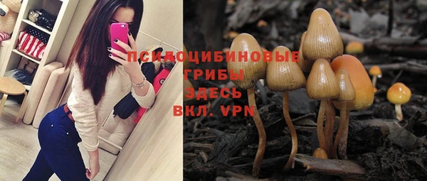 трава Елизово