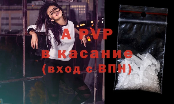 дмт Ельня
