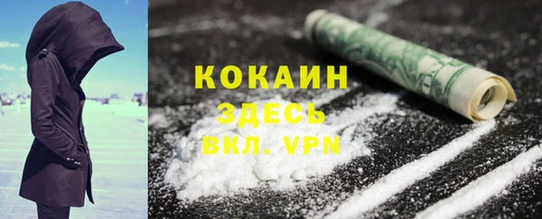 дмт Ельня