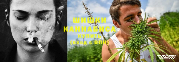 трава Елизово