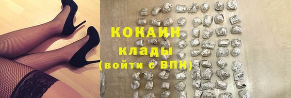 трава Елизово