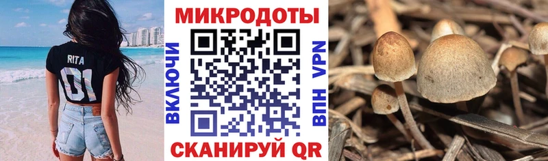 Псилоцибиновые грибы мухоморы Луховицы
