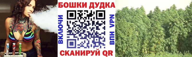 Бошки Шишки Bruce Banner  Купить где  Луховицы 